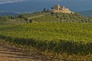 Castello di Velona Spa Resort & Winery