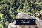 Dionysos Hotel Marmaris