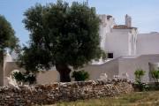 Masseria Le Carrube