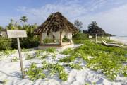 Zanzibar White Sand Luxury Villas & Spa